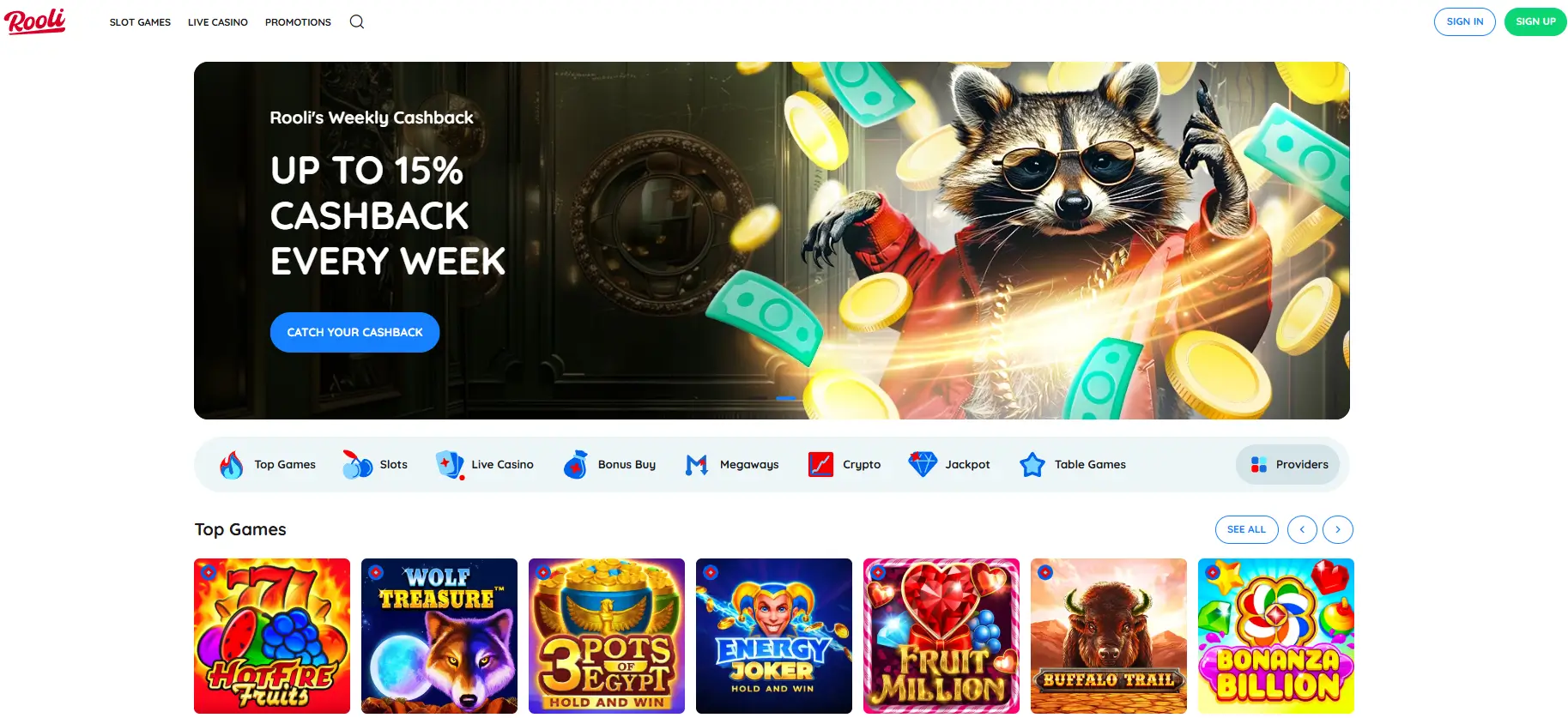 Security at Rooli casino